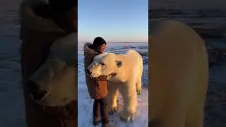 Белый медведь вне себя от радости, когда встретил свою маму 🤍