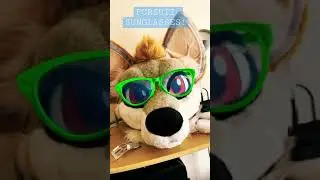 #Shorts #Fursuit accessories! Novelty sunglasses!