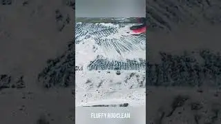 Shaggy Rug Clean