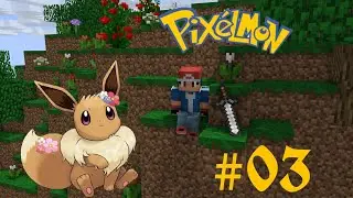 Catching  Pok&eacute;mon | Building Pok&eacute;mon Team | Crafting Healing Machine