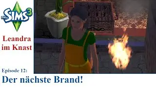Die Sims 3 - S09E012 - Der nächste Brand!