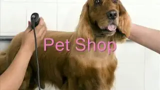 Pelos e Patas Fitness e Pet Shop-Video Release