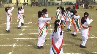 Republic Day Celebrations by Pre - Primary
