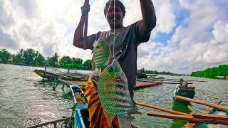 Double Hook-up! Back to Back Green Chromide Fishing in Beautiful Negombo Lagoon