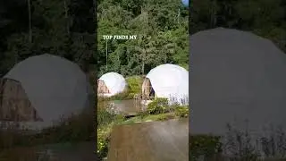 Glamping at A'moss Farmstay Cameron Highlands!