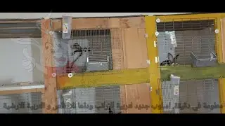 معلومة في دقيقة. اسلوب جديد لتربية الارانب وداعا للاقفاص و التربية الأرضية