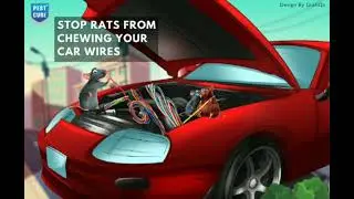 Protect car from Rats | Safe Vehicle from Rodent | Safest Techniques.