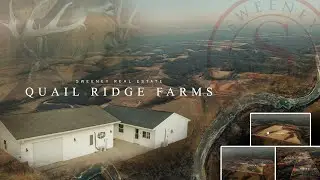 Premier hunting and farmland offering, 672&plusmn; Acres | Grand River, Decatur County, Iowa