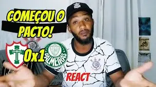 REACT PORTUGUESA X PALMEIRAS | PACTO COMEÇOU 