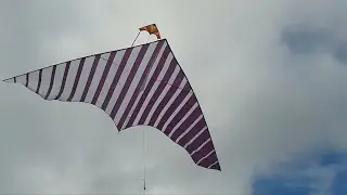 Fantastic DIY - Bird Kites - Delta Kites