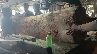 করই কাঠ কাটা হইতাছে #woodworking 