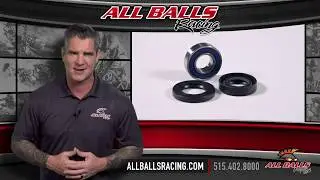 All Balls Racing   Lower Steering Bearing and Seal Kit