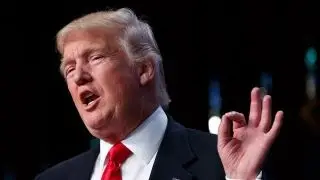 What happens to the immigration ban after 90 days?
