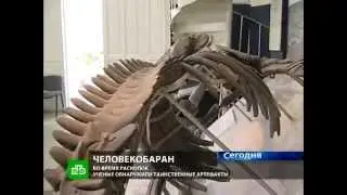 Giant skeleton Discovered In Russia_