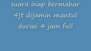 suara inap pernah bermahar 4jt 4jam mono