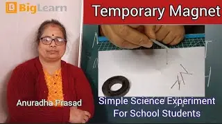लोहे की कील बनी चुम्बक 😮 | Temporary Magnet Experiment #anuradhaprasad #scienceexperiment #video 