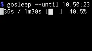 gosleep, sleep human-readable duration/time with progress bar