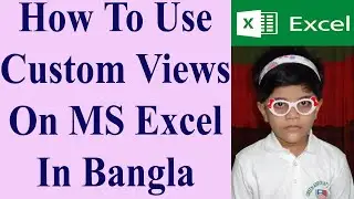 How To Use Custom Views On MS Excel In Bangla