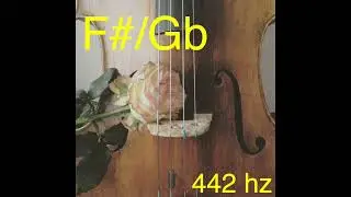 Cello drone F#/Gb (442 hz)