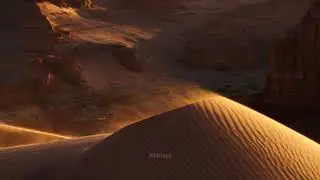 Sand Blowing over Dune with Real Sound  Vild  yQv2h #nature #wildlife #desert