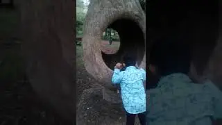 Tapmi tree park