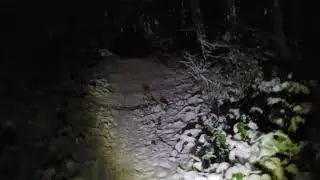 Real yeti caught on tape in Portlock Alaska