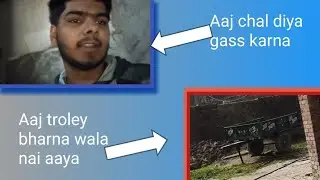Day-5/100 Aaj chal diya ghass karna