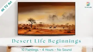 Discover the Heart of the Desert: 4K Life's First Stirrings | Frame TV Art | 4 Hours | No Sound