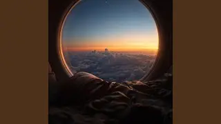 Enchanted Nights
