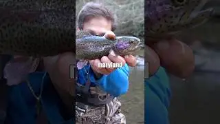 Поймать рыбу можно в каждом штате США (Мэриленд)