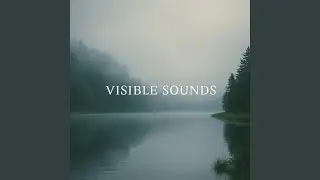 Visible Sounds