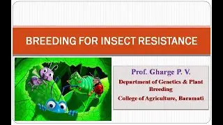 Lecture 17: Breeding for Insect Resistance (Part  1)
