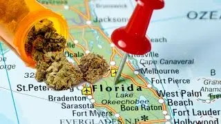 Why Florida Voters Are More Powerful Than Regular Voters