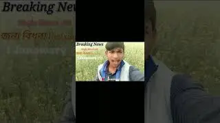 Breaking News Single Manus Ar জন্য 1 January পরা বিধবা Pension আরম্ভ