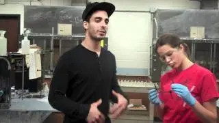 Backside Attack (Baby Got Back)
