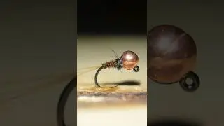 Pheasant Tail Jig Nymph #flyfishing #flytying #catchandrelease