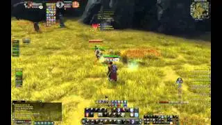 Rift Assassin Pvp
