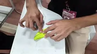 Pawikan Origami | GE 112 | GROUP 8 