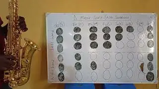 How to play key D major scale on alto saxophone (beginners friendly) 