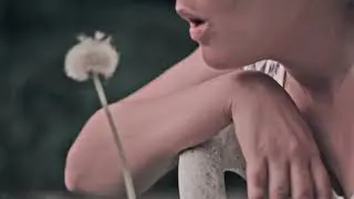 DomesticHollow