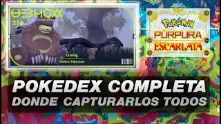 216 Pokedex Paldea - Ursaring (Donde y Como Capturarlo) - Pok&eacute;mon Escarlata y P&uacute;rpura