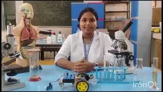 Prototype-Bioluminescence algae night light project Prepared under Viksit bharat Buildathon.