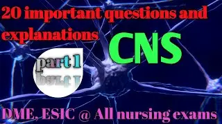 important questions and answers from CNS