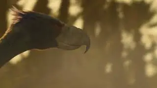 life on our planet - terror birds hunt