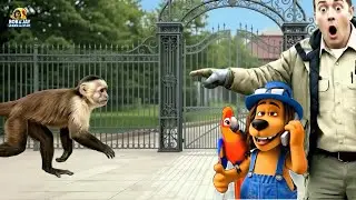 Learn Safari Animals: Monkey | Kids Adventure with Bob & Jay