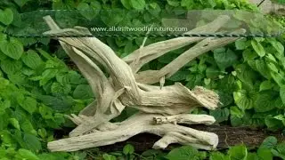 Driftwood side table, driftwood end table, driftwood entry table.