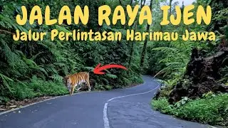 IJEN HIGHWAY | JAVA TIGER CROSSING ROUTE