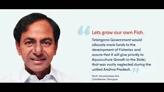 #Telangana#Fisheries at a glance