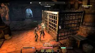 The Elder Scrolls Online: Daggerfall Covenant - Stros M'Kai (Khajiit Templar Beta Gameplay)