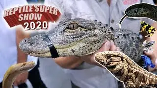 REPTILE SUPER SHOW! Anaheim 2020